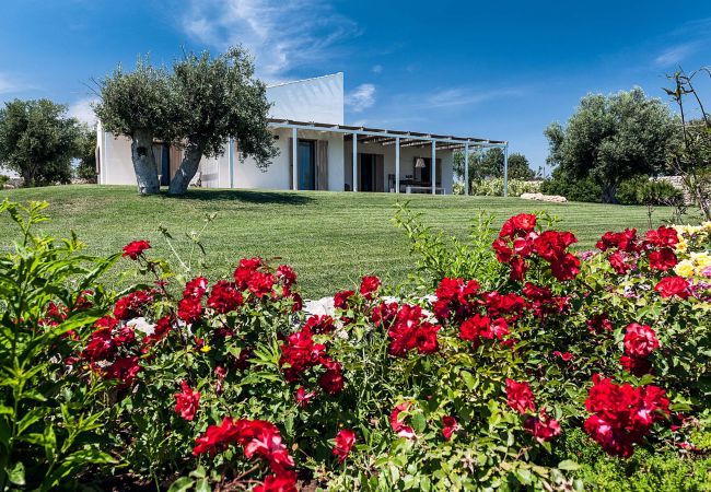 Villa a Scicli - Isla Verde - Ulivi