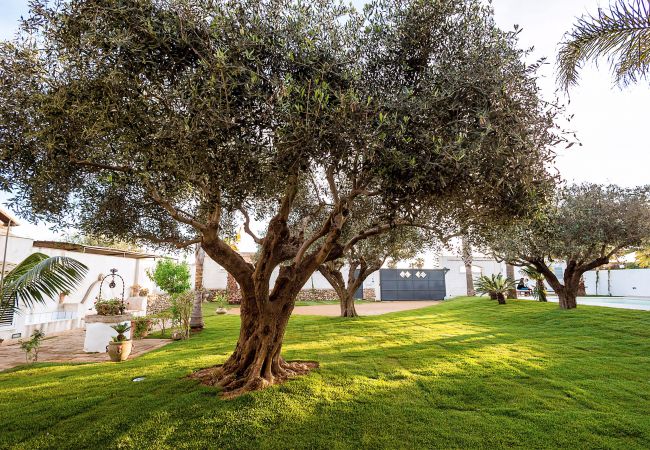 Appartamento a Marsala - Casa Marsala 1 Appartamento a Marsala - Casa Marsala 1