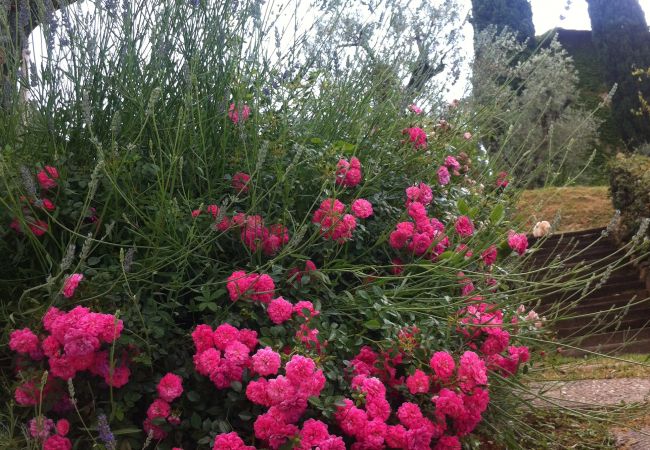 Appartamento a Monte San Savino - Villa Ceppeto for Your Family w/ Tesla Charger Appartamento a Monte San Savino - Villa Ceppeto for Your Family w/ Tesla Charger