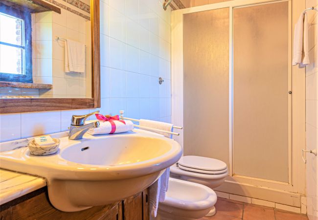 Appartamento a Bucine - Chianti for Four at Marioli Appartamento a Bucine - Chianti for Four at Marioli