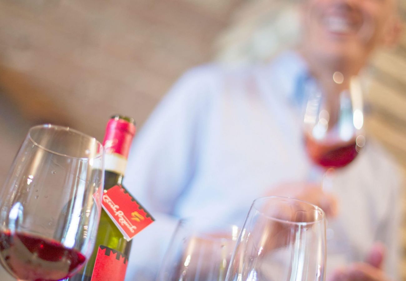 Appartamento a Cinigiano - Typical Stone House looking Banfi Wineries Appartamento a Cinigiano - Typical Stone House looking Banfi Wineries