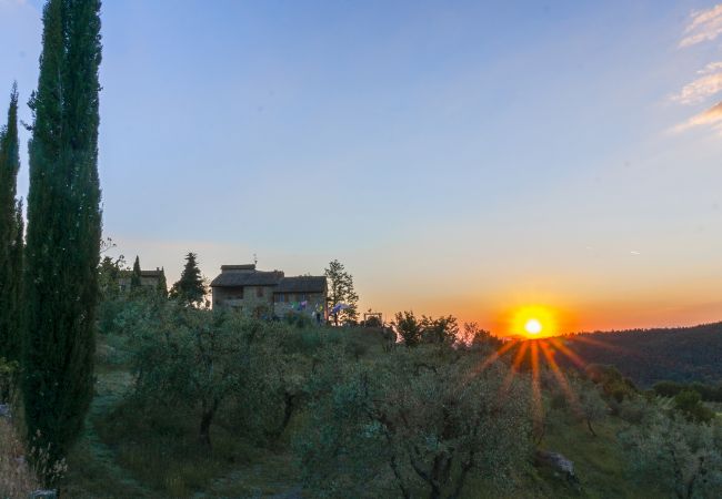Appartamento a Castellina in Chianti - Bellavista della Rocca in Chianti Appartamento a Castellina in Chianti - Bellavista della Rocca in Chianti