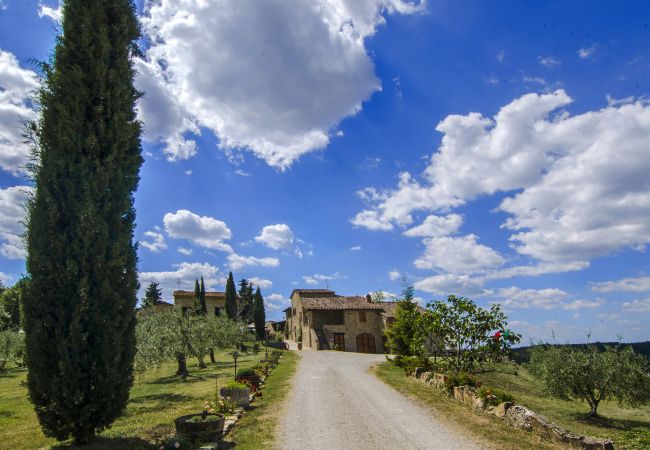 Appartamento a Castellina in Chianti - Bellavista della Rocca in Chianti Appartamento a Castellina in Chianti - Bellavista della Rocca in Chianti