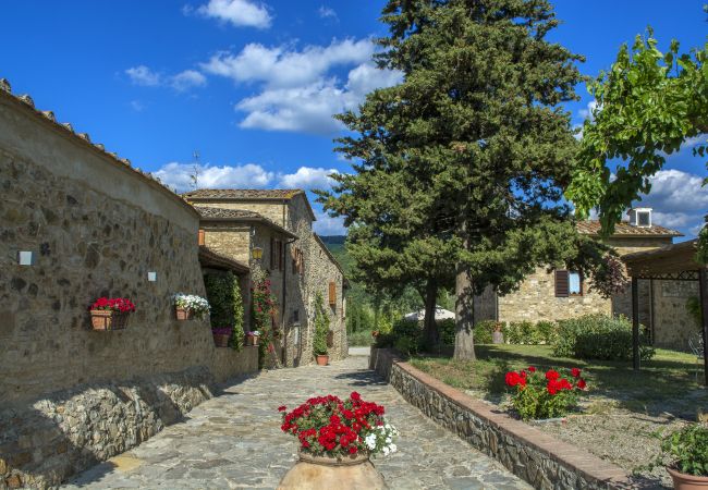 Appartamento a Castellina in Chianti - Bellavista della Rocca in Chianti Appartamento a Castellina in Chianti - Bellavista della Rocca in Chianti