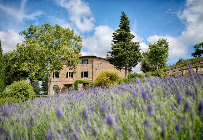 Appartamento a Panzano - Luxury Chianti in La Rosa in Panzano Chianti Appartamento a Panzano - Luxury Chianti in La Rosa in Panzano Chianti