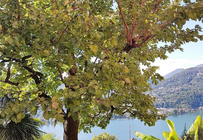 Appartamento a Montagnola - Close to Franklin College and Lugano Center Appartamento a Montagnola - Close to Franklin College and Lugano Center
