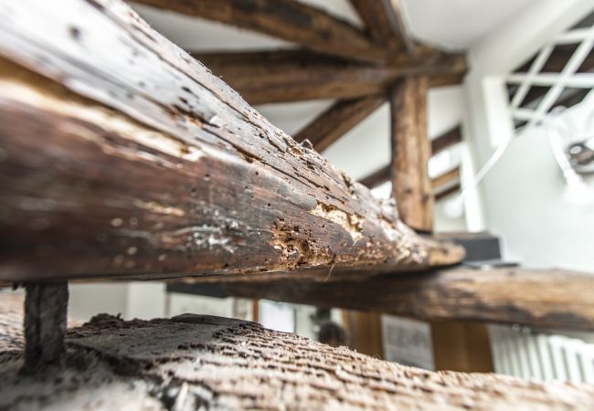 Appartamento a Venezia - Design District Apartment R&R Appartamento a Venezia - Design District Apartment R&R