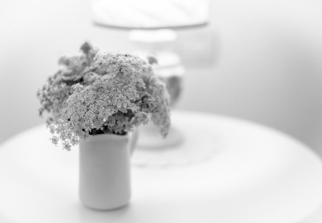 Appartamento a Asciano - Ficonovo is Your Agritourism with Pool Appartamento a Asciano - Ficonovo is Your Agritourism with Pool