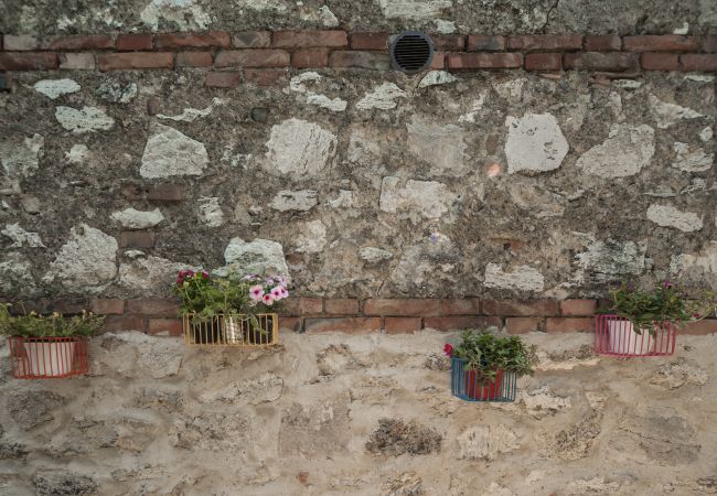 Appartamento a Asciano - Your Agritourism with Pool at Lillanovo Appartamento a Asciano - Your Agritourism with Pool at Lillanovo