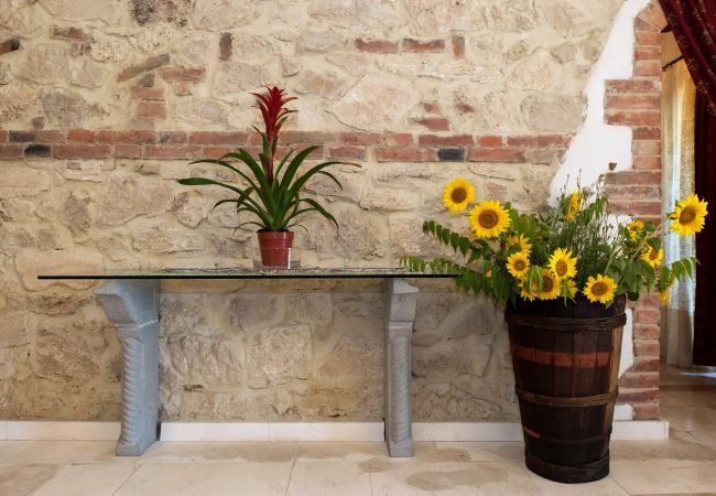 Appartamento a Asciano - Lillarosa is Your Agritourism close to Siena Appartamento a Asciano - Lillarosa is Your Agritourism close to Siena