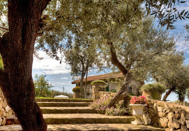 Villa a Massa Lubrense - Casale La Torre Luxury Retreat Villa a Massa Lubrense - Casale La Torre Luxury Retreat