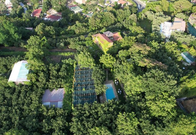 Villa a Massa Lubrense - Villa Mellicata Villa a Massa Lubrense - Villa Mellicata