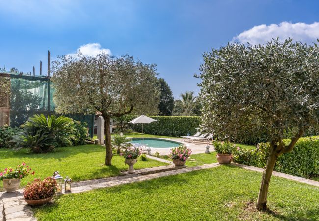 Villa a Massa Lubrense - Villa Mimosa Villa a Massa Lubrense - Villa Mimosa