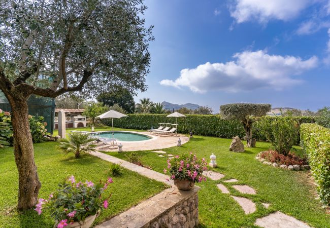 Villa a Massa Lubrense - Villa Mimosa Villa a Massa Lubrense - Villa Mimosa