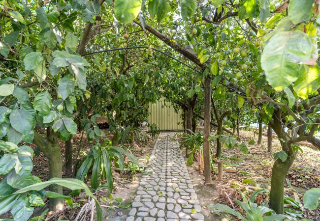 Villa a Massa Lubrense - Villa Mimosa Villa a Massa Lubrense - Villa Mimosa