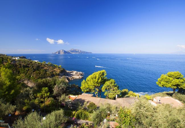 Villa a Massa Lubrense - Villa Mary Villa a Massa Lubrense - Villa Mary