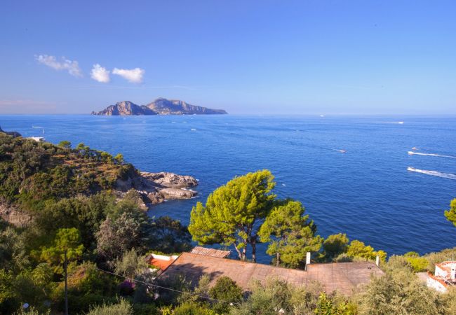 Villa a Massa Lubrense - Villa Mary Villa a Massa Lubrense - Villa Mary