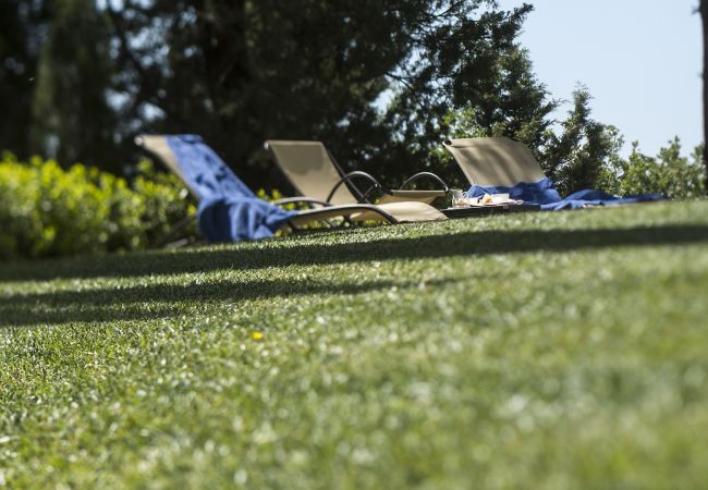 Appartamento a Panzano - Luxury Chianti with 2 Bedrooms in Panzano Chianti Appartamento a Panzano - Luxury Chianti with 2 Bedrooms in Panzano Chianti