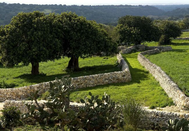 Appartamento a Donnafugata - Corte Iblea - Ulivo Appartamento a Donnafugata - Corte Iblea - Ulivo