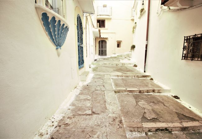 Appartamento a Sperlonga - Holidaycasa Brandy-Con terrazzo sul mare Appartamento a Sperlonga - Holidaycasa Brandy-Con terrazzo sul mare