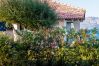 Villa a Olbia - Villa Miriam