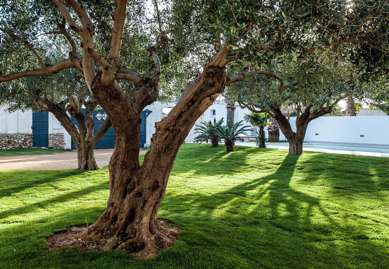 Apartment in Marsala - Casa Marsala 2 Apartment in Marsala - Casa Marsala 2