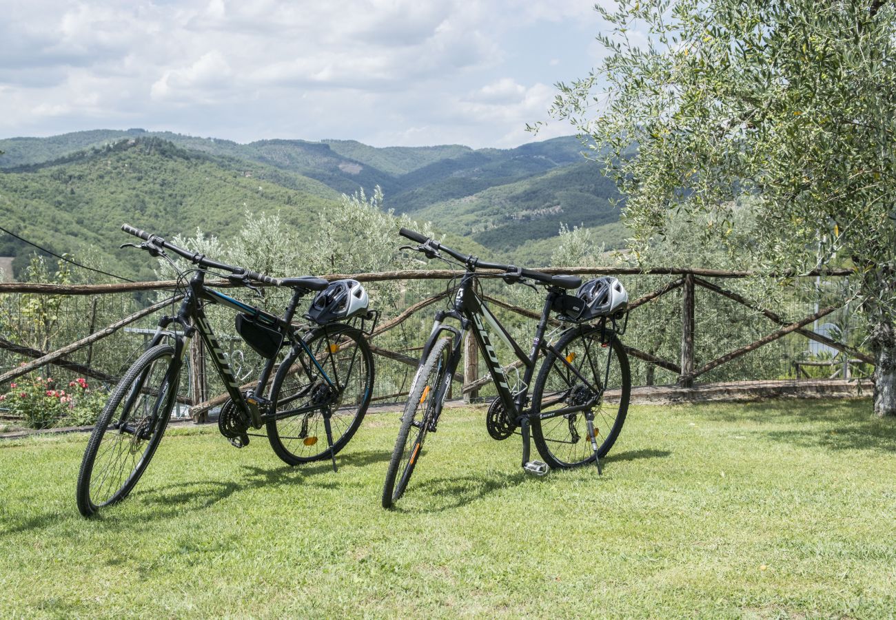 Apartment in Bucine - Typical, Charming with Chianti View at Marioli Apartment in Bucine - Typical, Charming with Chianti View at Marioli