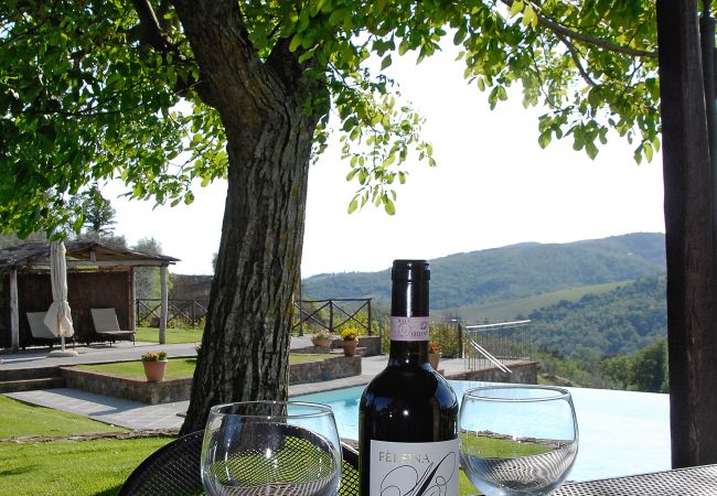 Apartment in Bucine - Nest in Chianti at Marioli Apartment in Bucine - Nest in Chianti at Marioli