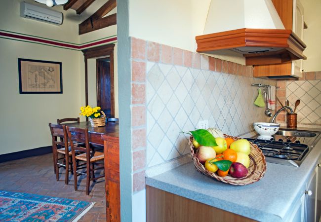 Apartment in Cinigiano - Typical Stone House looking Banfi Wineries Apartment in Cinigiano - Typical Stone House looking Banfi Wineries