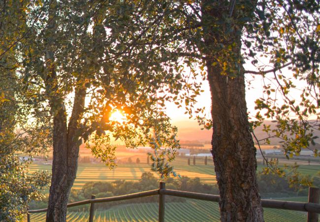 Apartment in Cinigiano - Private Cozy Apartment Argine Apartment in Cinigiano - Private Cozy Apartment Argine