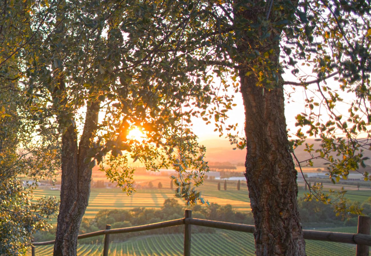 Apartment in Cinigiano - Private Cozy Apartment Argine Apartment in Cinigiano - Private Cozy Apartment Argine