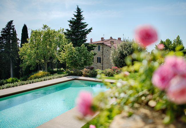 Apartment in Panzano - Luxury Chianti in Olive in Panzano Chianti Apartment in Panzano - Luxury Chianti in Olive in Panzano Chianti