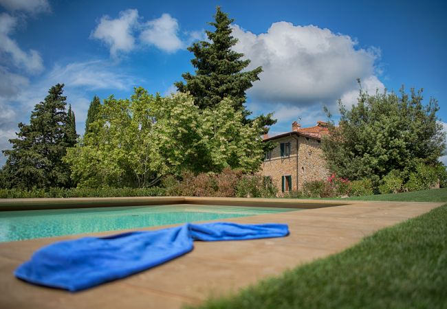 Apartment in Panzano - Luxury Chianti in Olive in Panzano Chianti Apartment in Panzano - Luxury Chianti in Olive in Panzano Chianti