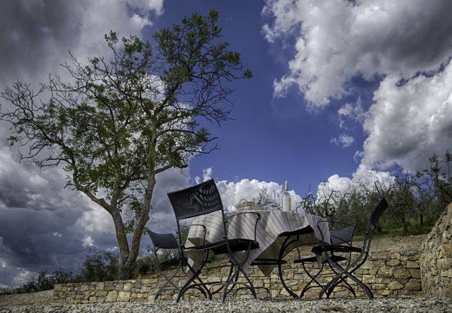 Apartment in Panzano - Luxury Chianti in Olive in Panzano Chianti Apartment in Panzano - Luxury Chianti in Olive in Panzano Chianti