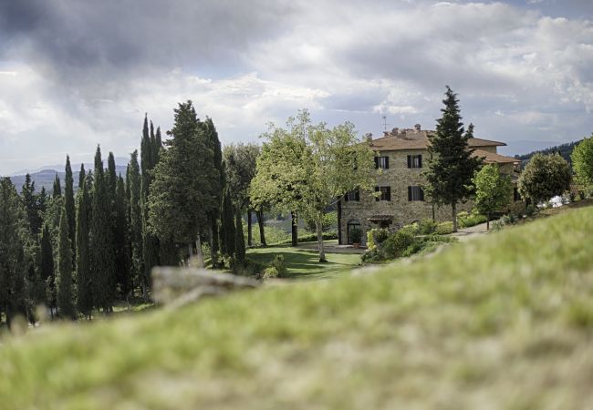 Apartment in Panzano - Luxury Chianti in Olive in Panzano Chianti Apartment in Panzano - Luxury Chianti in Olive in Panzano Chianti