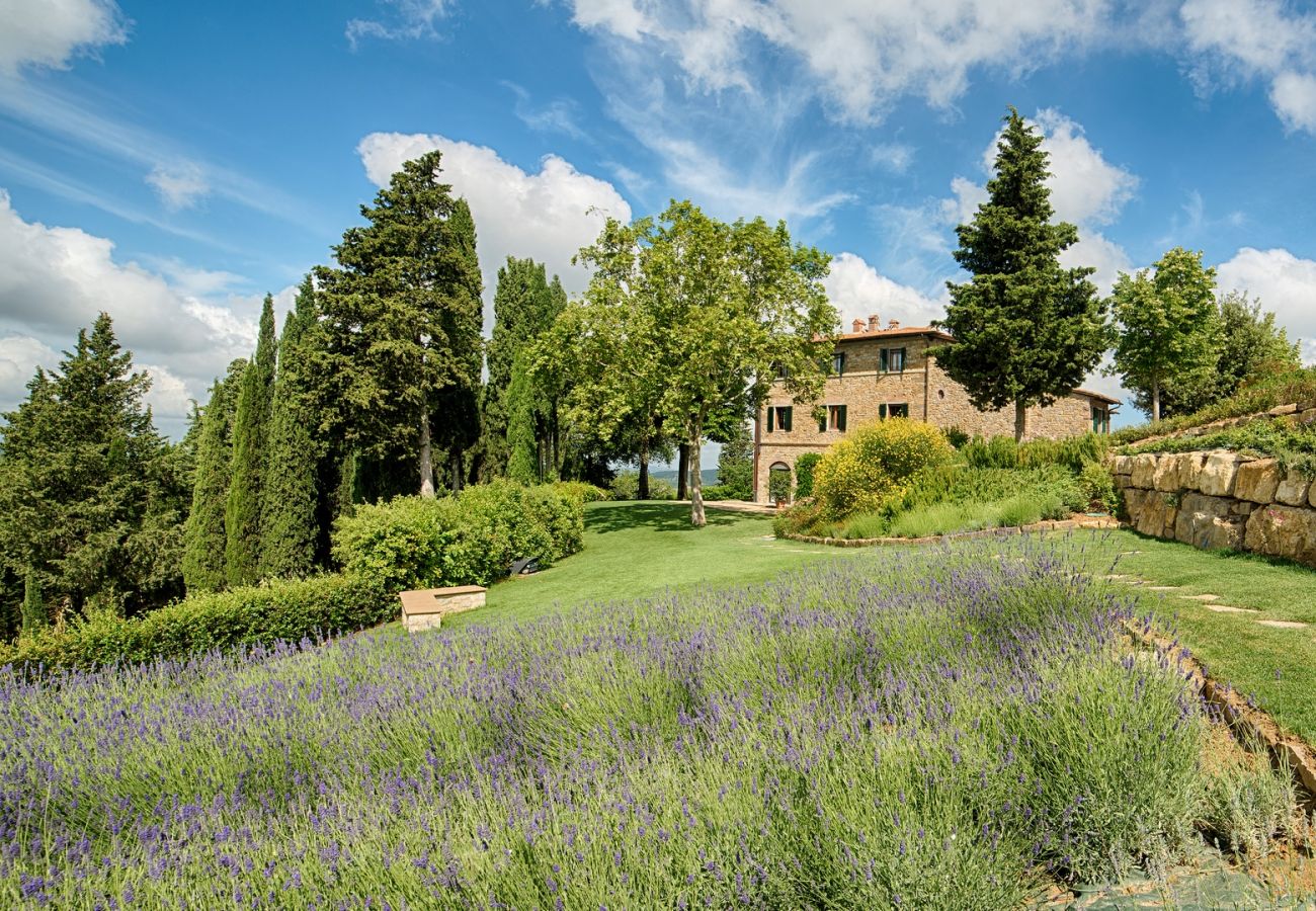 Apartment in Panzano - Luxury Chianti in Olive in Panzano Chianti Apartment in Panzano - Luxury Chianti in Olive in Panzano Chianti