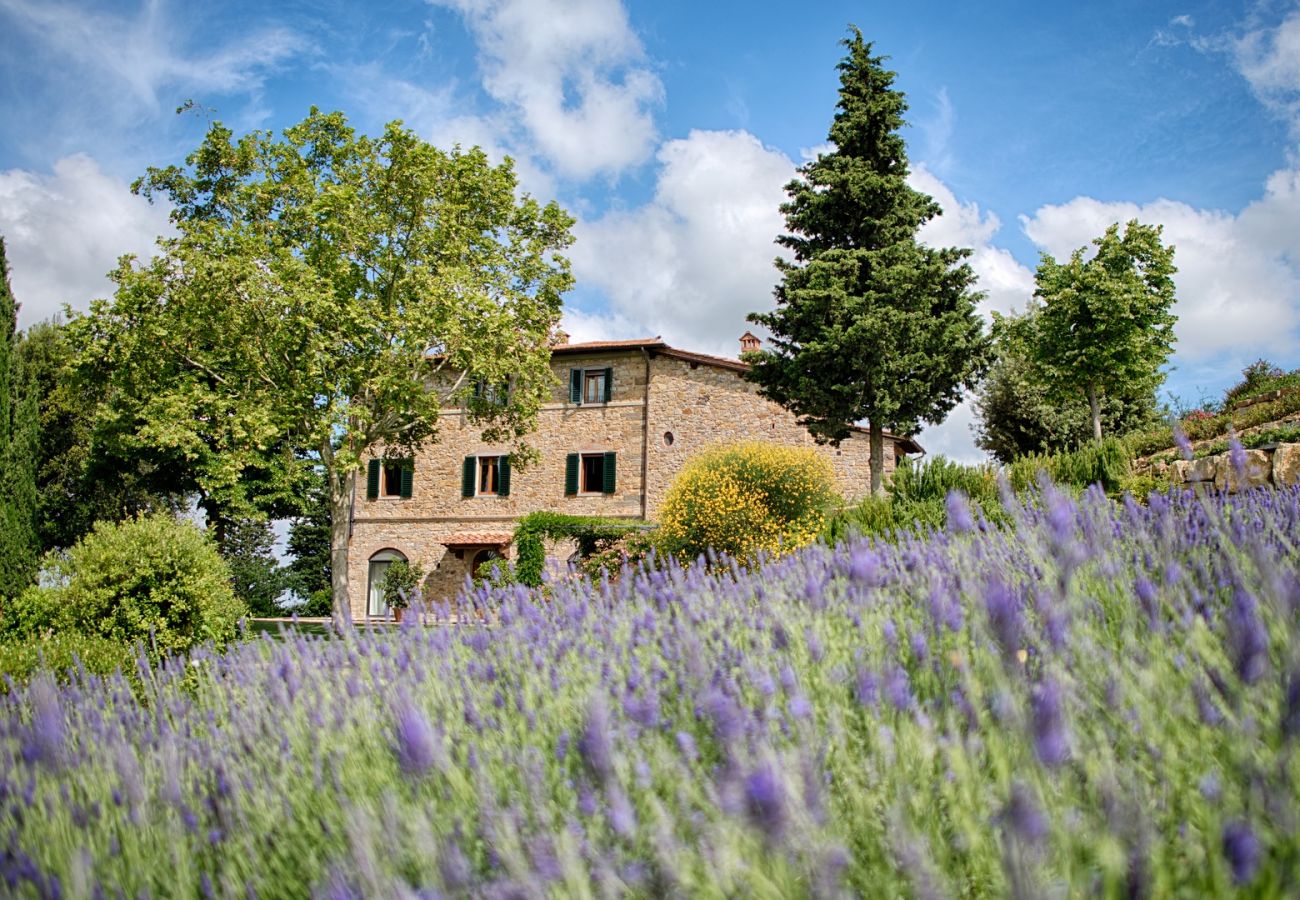 Apartment in Panzano - Luxury Chianti in Olive in Panzano Chianti Apartment in Panzano - Luxury Chianti in Olive in Panzano Chianti