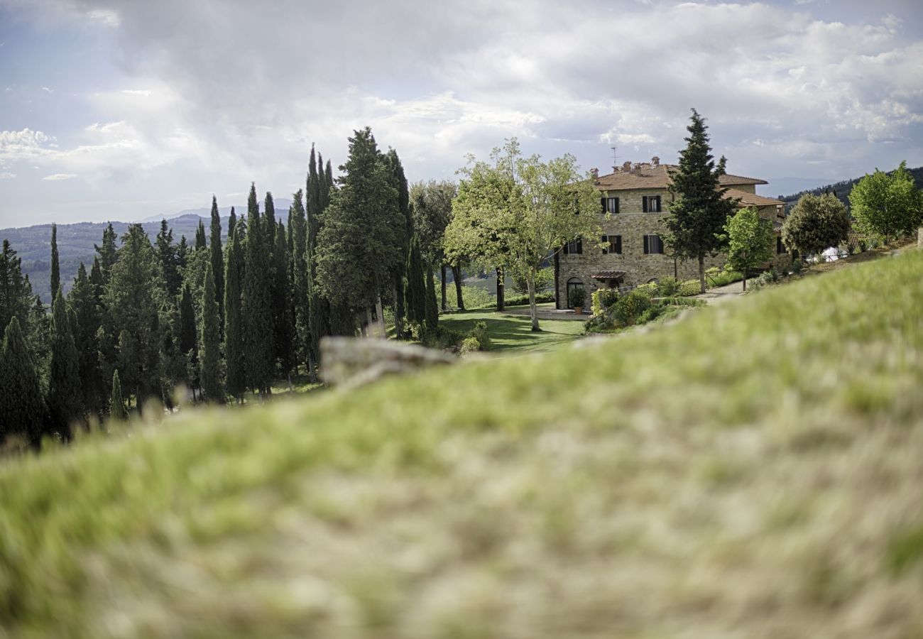 Apartment in Panzano - Luxury Chianti in Olive in Panzano Chianti Apartment in Panzano - Luxury Chianti in Olive in Panzano Chianti