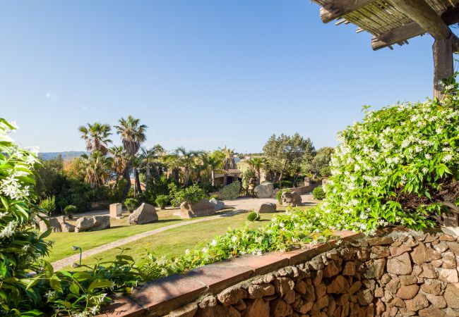 Apartment in Porto Rotondo - Caletta Nest 10