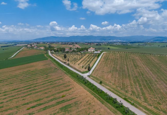Villa/Dettached house in Castiglion Fiorentino - Villa De' Michelangioli