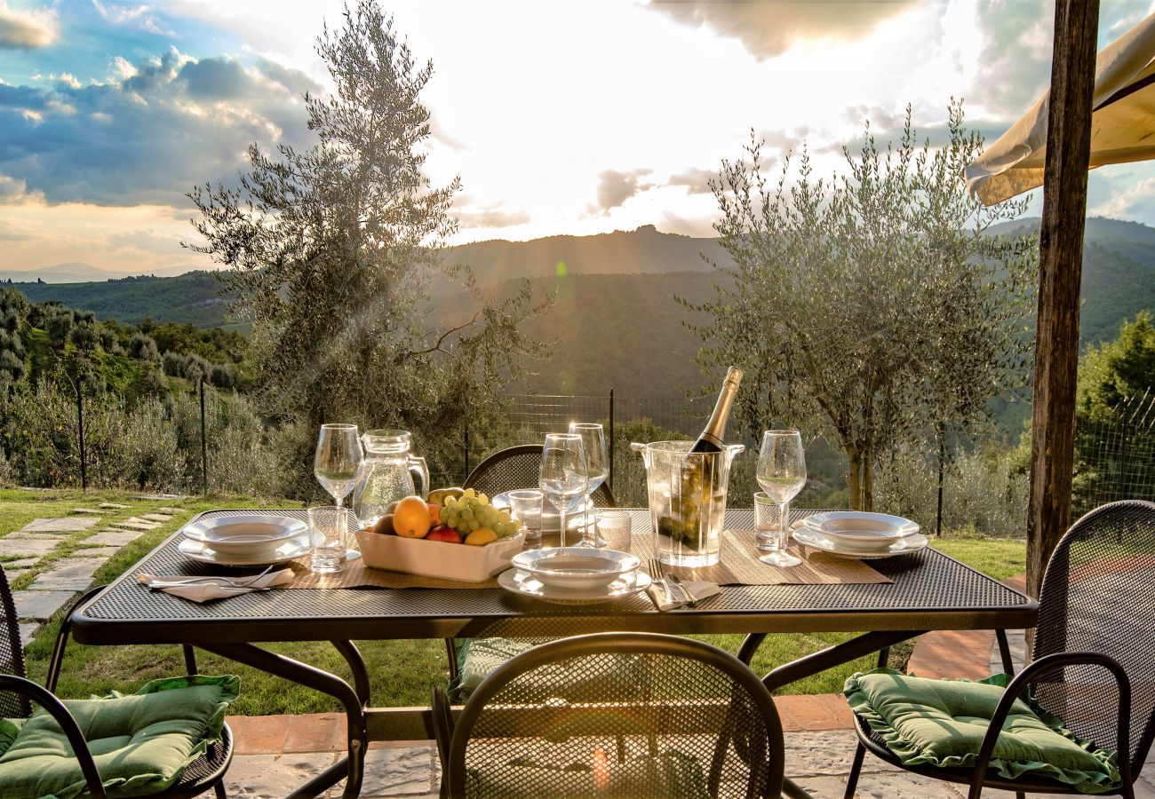 Apartment in Bucine - Chianti Sunshine at Marioli