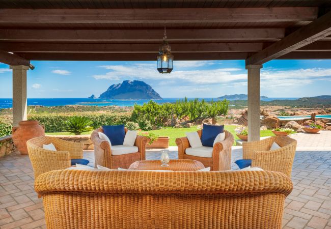 Villa/Dettached house in Porto San Paolo - Villa Halliv