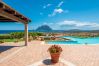 Villa in Porto San Paolo - Villa Halliv