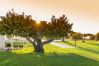 Villa in Noto - ColleVerde